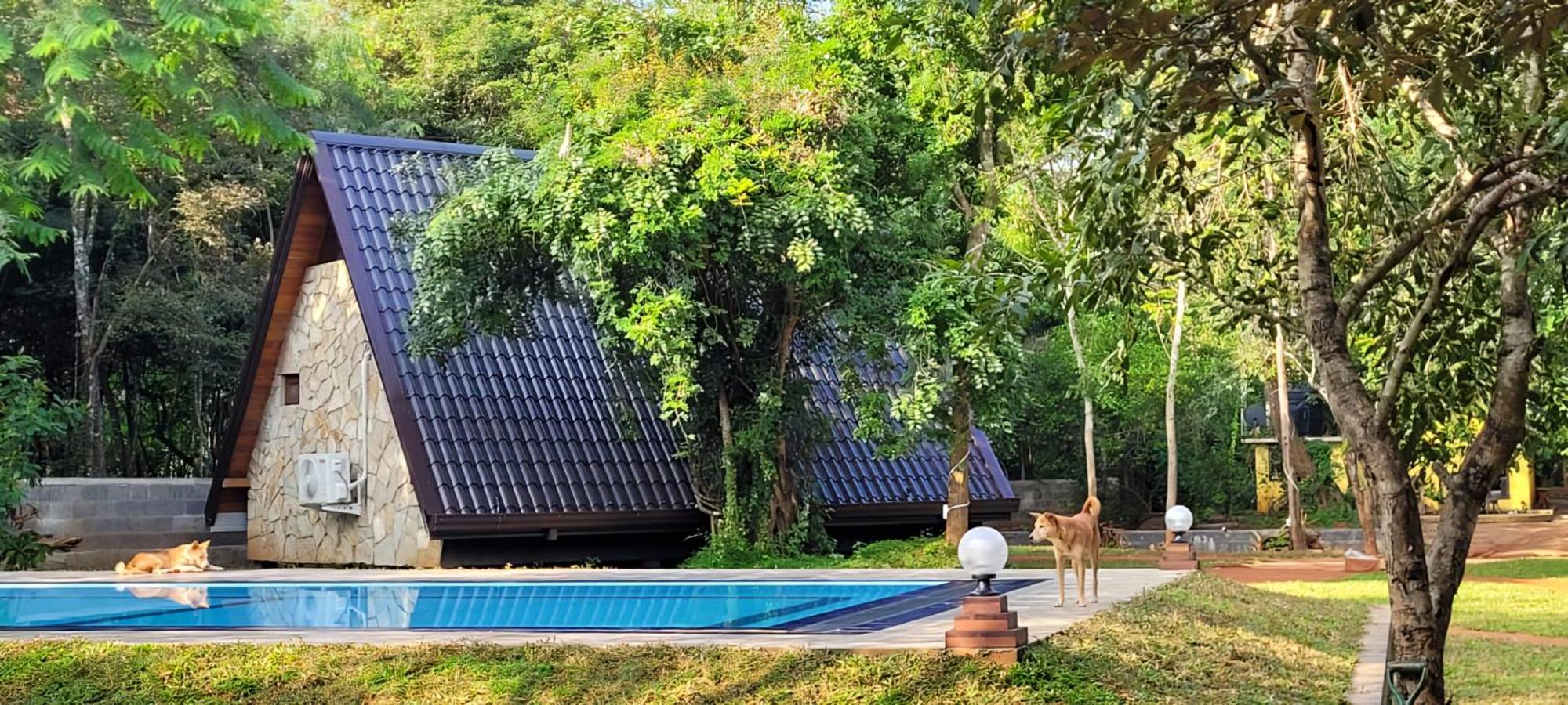 Lion King Jungle Cabanas Сігірія Екстер'єр фото